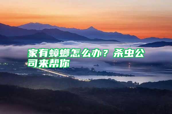 家有蟑螂怎么辦？殺蟲公司來幫你