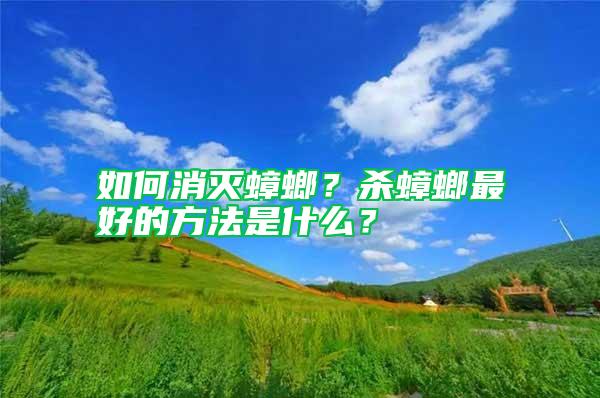 如何消滅蟑螂?殺蟑螂最好的方法是什么?