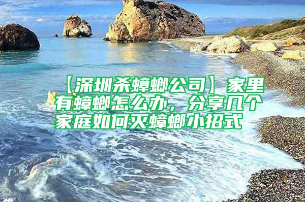 【深圳殺蟑螂公司】家里有蟑螂怎么辦,分享幾個家庭如何滅蟑螂小招式