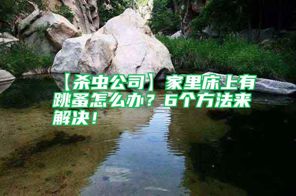 【殺蟲公司】家里床上有跳蚤怎么辦?6個方法來解決!