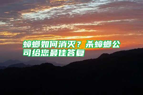蟑螂如何消滅?殺蟑螂公司給您最佳答復