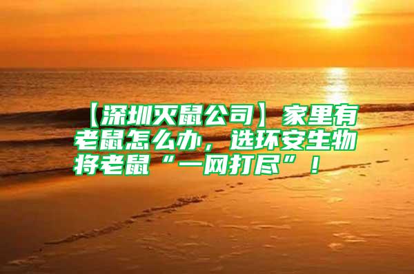 【深圳滅鼠公司】家里有老鼠怎么辦，選環安生物將老鼠“一網打盡”！