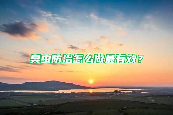 臭蟲(chóng)防治怎么做最有效？