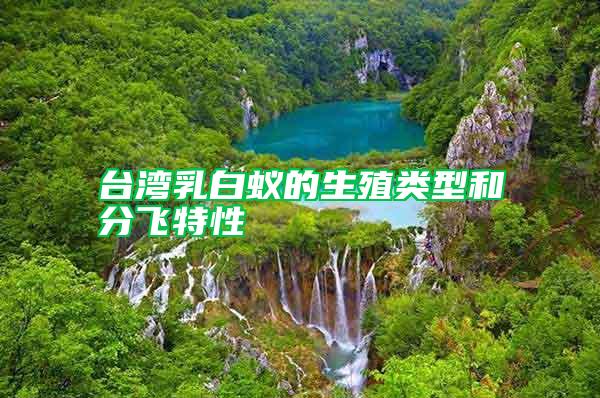 臺(tái)灣乳白蟻的生殖類型和分飛特性