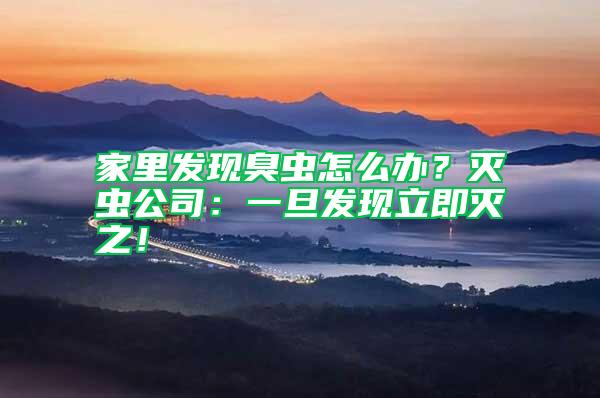 家里發現臭蟲怎么辦?滅蟲公司:一旦發現立即滅之!