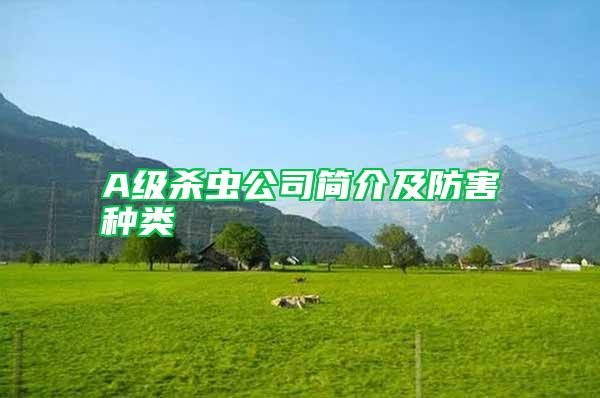A級(jí)殺蟲(chóng)公司簡(jiǎn)介及防害種類(lèi)