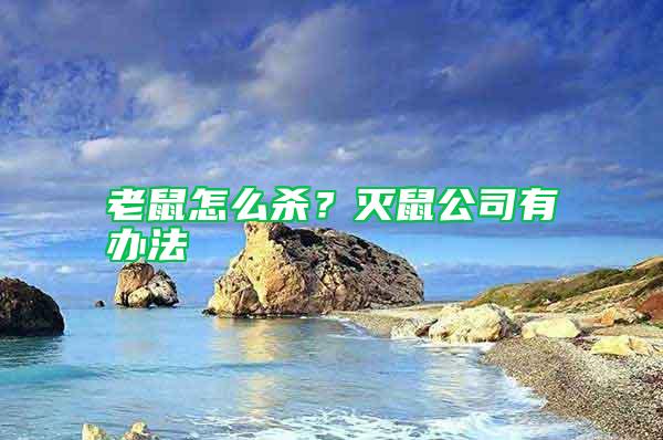 老鼠怎么殺？滅鼠公司有辦法