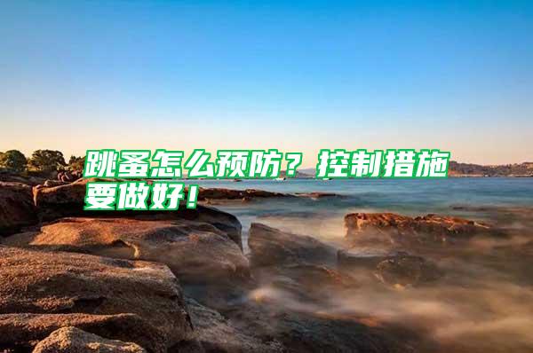 跳蚤怎么預(yù)防？控制措施要做好！