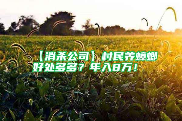 【消殺公司】村民養蟑螂好處多多？年入8萬！