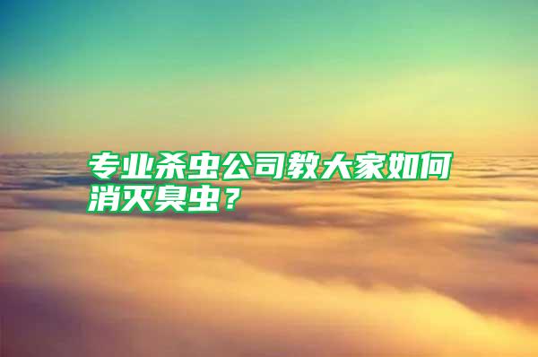 專業(yè)殺蟲公司教大家如何消滅臭蟲？