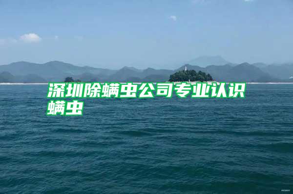 深圳除螨蟲公司專業(yè)認識螨蟲