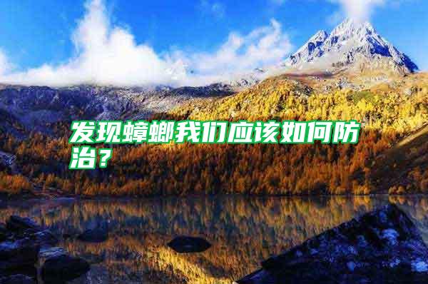 發現蟑螂我們應該如何防治?