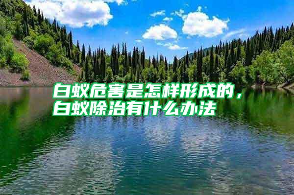 白蟻危害是怎樣形成的，白蟻除治有什么辦法