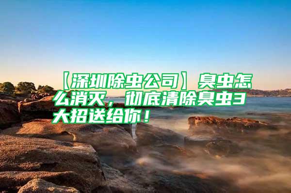 【深圳除蟲公司】臭蟲怎么消滅，徹底清除臭蟲3大招送給你！