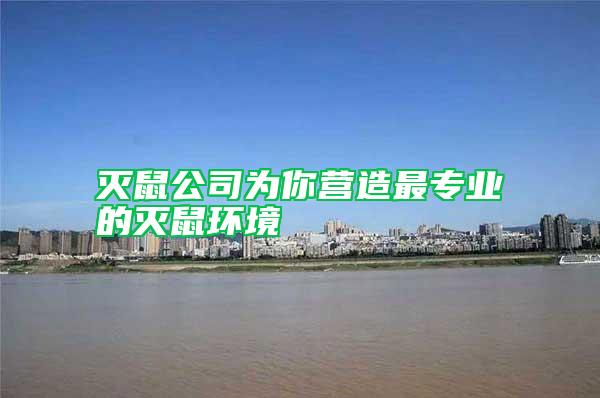 滅鼠公司為你營造最專業(yè)的滅鼠環(huán)境