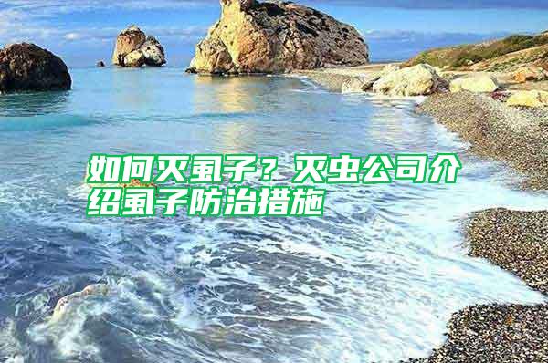 如何滅虱子?滅蟲公司介紹虱子防治措施