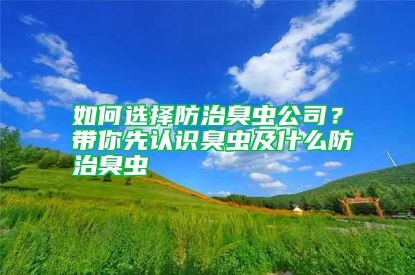如何選擇防治臭蟲公司？帶你先認(rèn)識(shí)臭蟲及什么防治臭蟲