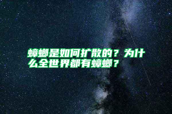 蟑螂是如何擴(kuò)散的?為什么全世界都有蟑螂?