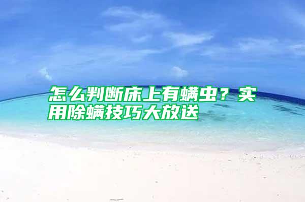 怎么判斷床上有螨蟲？實用除螨技巧大放送