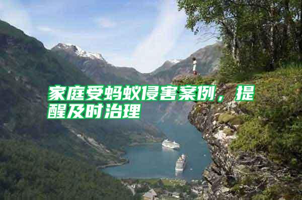 家庭受螞蟻侵害案例，提醒及時治理