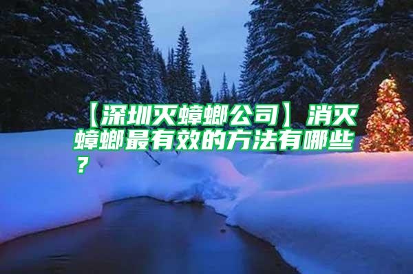 【深圳滅蟑螂公司】消滅蟑螂最有效的方法有哪些？