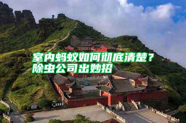 室內(nèi)螞蟻如何徹底清楚？除蟲公司出妙招