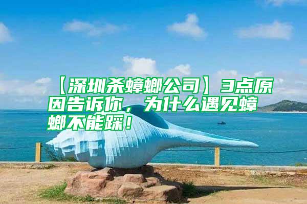 【深圳殺蟑螂公司】3點(diǎn)原因告訴你，為什么遇見(jiàn)蟑螂不能踩！