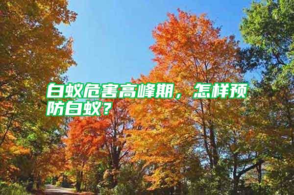 白蟻危害高峰期，怎樣預(yù)防白蟻？