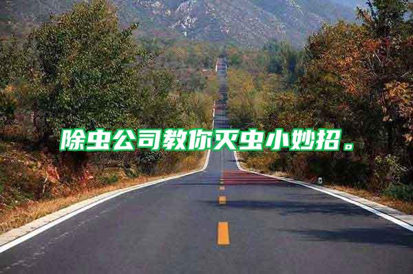 除蟲(chóng)公司教你滅蟲(chóng)小妙招。