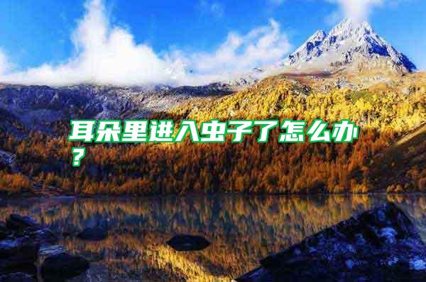 耳朵里進入蟲子了怎么辦？