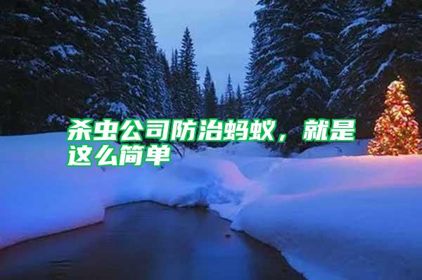 殺蟲公司防治螞蟻，就是這么簡單