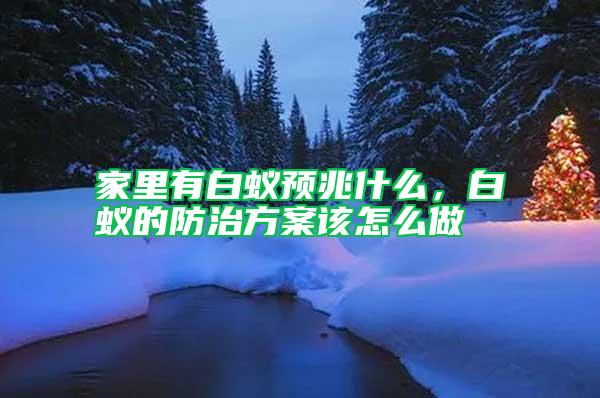 家里有白蟻預兆什么，白蟻的防治方案該怎么做