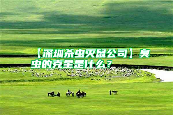 【深圳殺蟲滅鼠公司】臭蟲的克星是什么？