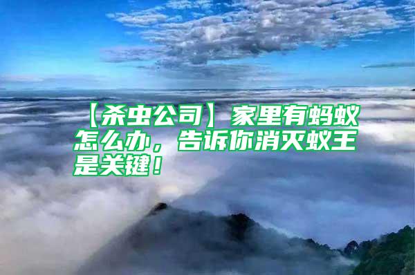 【殺蟲公司】家里有螞蟻怎么辦，告訴你消滅蟻王是關鍵！