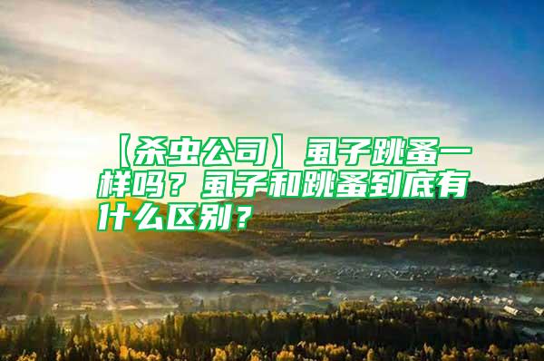 【殺蟲公司】虱子跳蚤一樣嗎？虱子和跳蚤到底有什么區(qū)別？