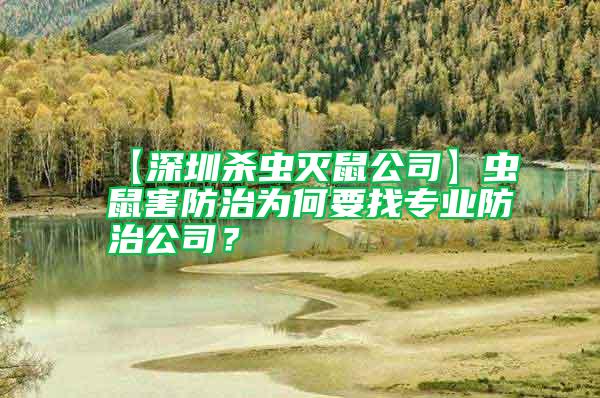 【深圳殺蟲滅鼠公司】蟲鼠害防治為何要找專業(yè)防治公司？