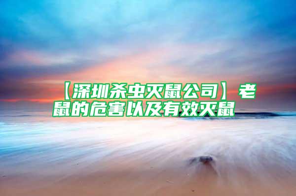 【深圳殺蟲滅鼠公司】老鼠的危害以及有效滅鼠