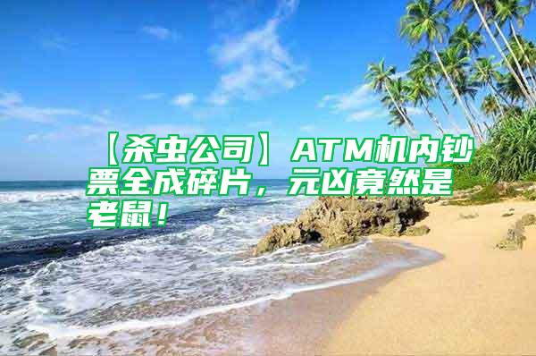【殺蟲公司】ATM機內鈔票全成碎片,元兇竟然是老鼠!