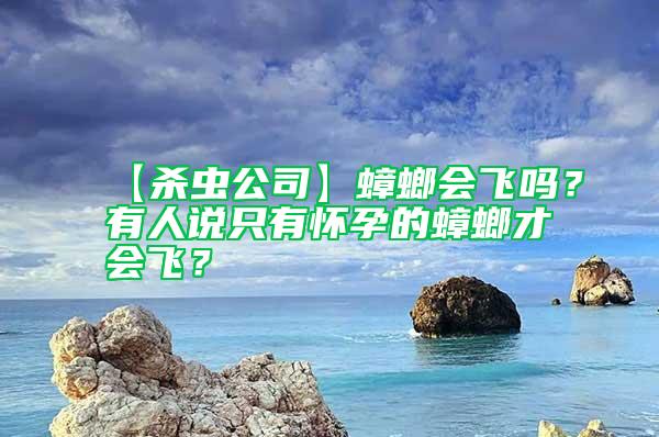 【殺蟲公司】蟑螂會(huì)飛嗎？有人說只有懷孕的蟑螂才會(huì)飛？