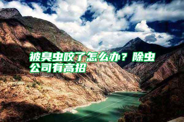 被臭蟲(chóng)咬了怎么辦?除蟲(chóng)公司有高招