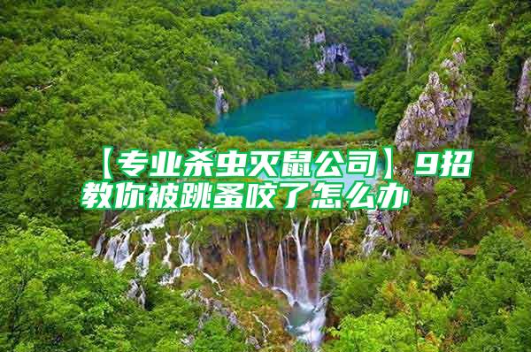 【專業(yè)殺蟲滅鼠公司】9招教你被跳蚤咬了怎么辦