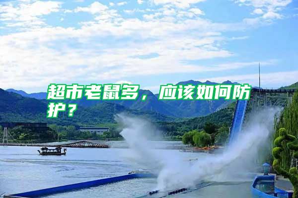 超市老鼠多，應(yīng)該如何防護(hù)？