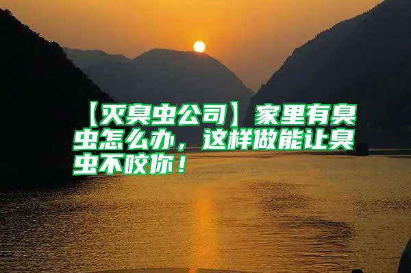 【滅臭蟲公司】家里有臭蟲怎么辦，這樣做能讓臭蟲不咬你！