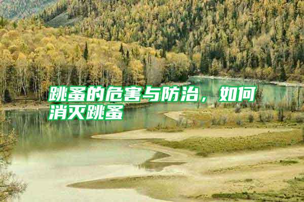 跳蚤的危害與防治，如何消滅跳蚤