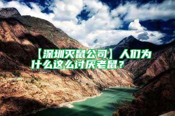 【深圳滅鼠公司】人們?yōu)槭裁催@么討厭老鼠?