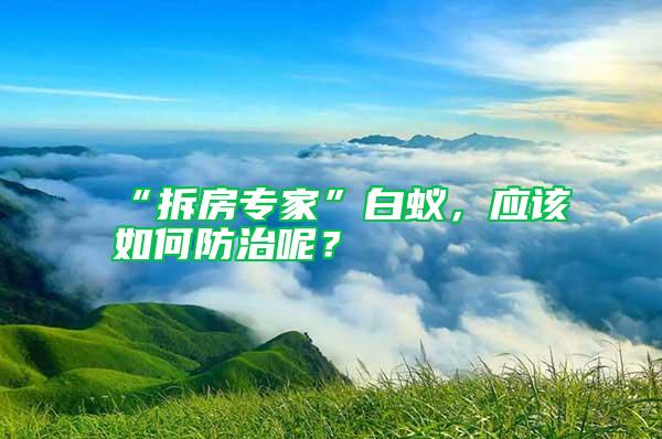 “拆房專家”白蟻，應該如何防治呢？