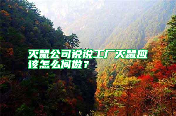滅鼠公司說說工廠滅鼠應(yīng)該怎么何做？