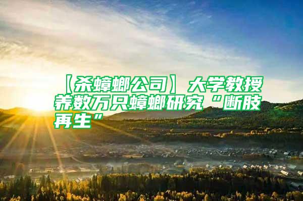 【殺蟑螂公司】大學(xué)教授養(yǎng)數(shù)萬只蟑螂研究“斷肢再生”