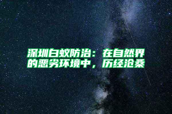 深圳白蟻防治：在自然界的惡劣環境中，歷經滄桑