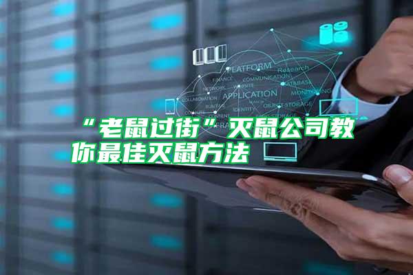 “老鼠過(guò)街”滅鼠公司教你最佳滅鼠方法